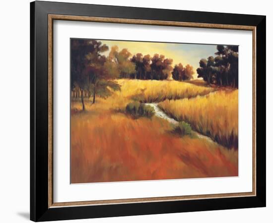 Meandering Stream-Tim Howe-Framed Giclee Print