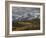 Mears Peak with Snow and Yellow Aspens in the Fall-James Hager-Framed Photographic Print