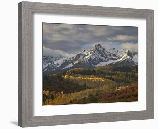 Mears Peak with Snow and Yellow Aspens in the Fall-James Hager-Framed Photographic Print