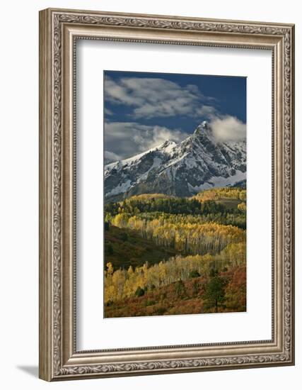 Mears Peak with Snow and Yellow Aspens in the Fall-James Hager-Framed Photographic Print