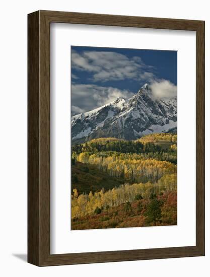 Mears Peak with Snow and Yellow Aspens in the Fall-James Hager-Framed Photographic Print