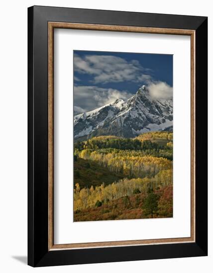 Mears Peak with Snow and Yellow Aspens in the Fall-James Hager-Framed Photographic Print