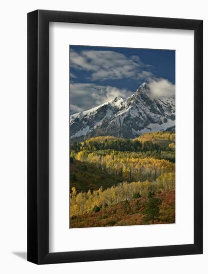 Mears Peak with Snow and Yellow Aspens in the Fall-James Hager-Framed Photographic Print