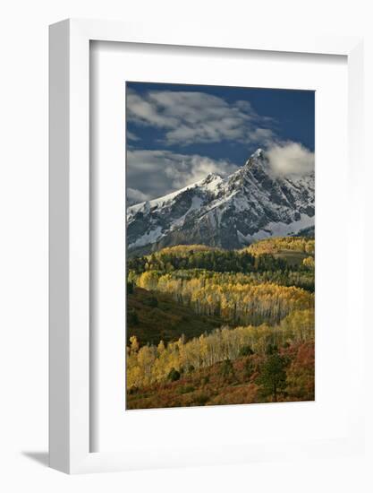 Mears Peak with Snow and Yellow Aspens in the Fall-James Hager-Framed Photographic Print