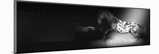 Meas - Appaloosa Illumination-Rosa Mesa-Mounted Art Print