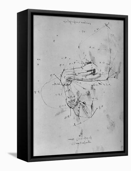 'Measured Drawing of the Near Fore-Leg of a Horse', c1480 (1945)-Leonardo Da Vinci-Framed Premier Image Canvas