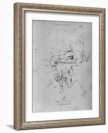 'Measured Drawing of the Near Fore-Leg of a Horse', c1480 (1945)-Leonardo Da Vinci-Framed Giclee Print