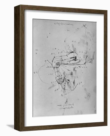 'Measured Drawing of the Near Fore-Leg of a Horse', c1480 (1945)-Leonardo Da Vinci-Framed Giclee Print