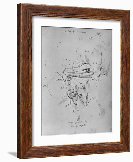 'Measured Drawing of the Near Fore-Leg of a Horse', c1480 (1945)-Leonardo Da Vinci-Framed Giclee Print