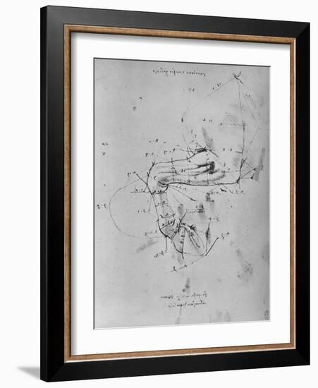 'Measured Drawing of the Near Fore-Leg of a Horse', c1480 (1945)-Leonardo Da Vinci-Framed Giclee Print