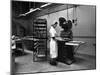 Meat Pie Production, Rawmarsh, South Yorkshire, 1959-Michael Walters-Mounted Photographic Print