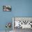 Meat Stall in Market in Spain-Felipe Rodriguez-Photographic Print displayed on a wall