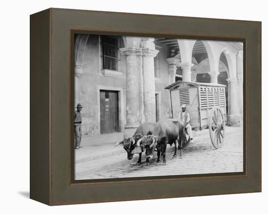 Meat Wagon, Havana, Cuba-null-Framed Stretched Canvas