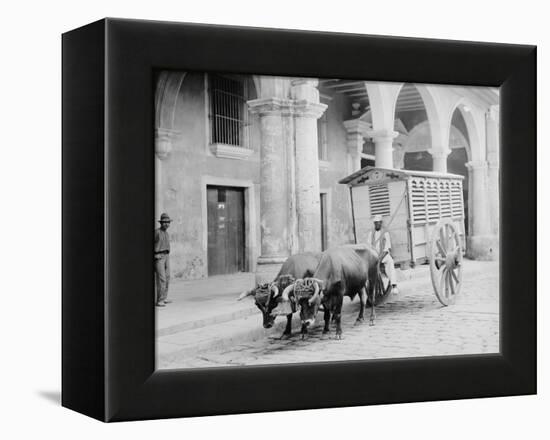 Meat Wagon, Havana, Cuba-null-Framed Stretched Canvas