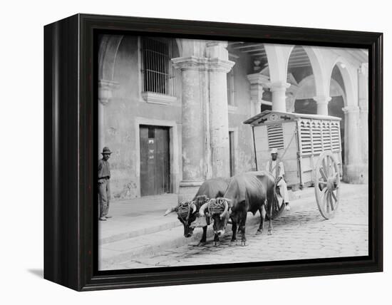 Meat Wagon, Havana, Cuba-null-Framed Stretched Canvas