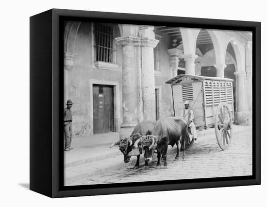 Meat Wagon, Havana, Cuba-null-Framed Stretched Canvas