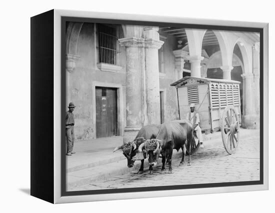 Meat Wagon, Havana, Cuba-null-Framed Stretched Canvas