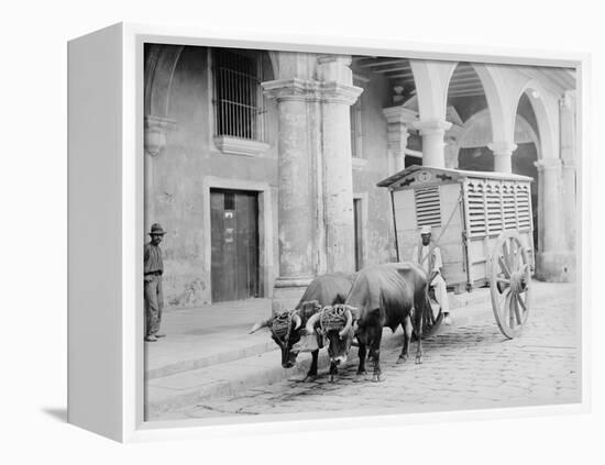 Meat Wagon, Havana, Cuba-null-Framed Stretched Canvas