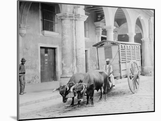 Meat Wagon, Havana, Cuba-null-Mounted Photo