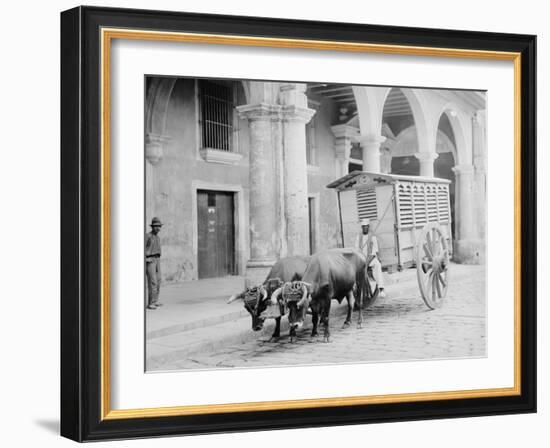 Meat Wagon, Havana, Cuba-null-Framed Photo