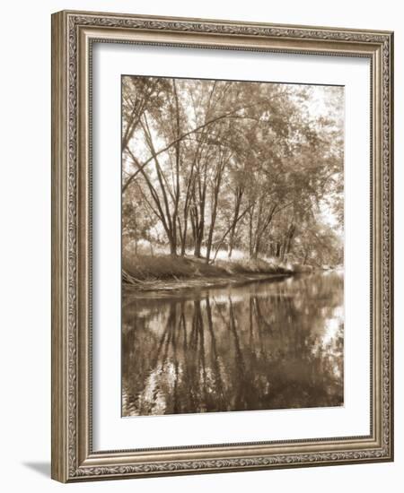 Mecan River 2-Thea Schrack-Framed Giclee Print