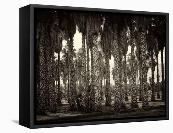 Mecca-Geoffrey Ansel Agrons-Framed Premier Image Canvas