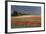 Mecklenburg-Western Pomerania, Landscape, Poppy Field, Stormy Atmosphere-Catharina Lux-Framed Photographic Print