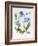 Meconopsis Poppy-Sally Crosthwaite-Framed Giclee Print