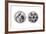 Medal of the Seven Bishops, 18th Century-null-Framed Giclee Print