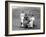Medalists for the Ladies Golf Championship-null-Framed Photographic Print