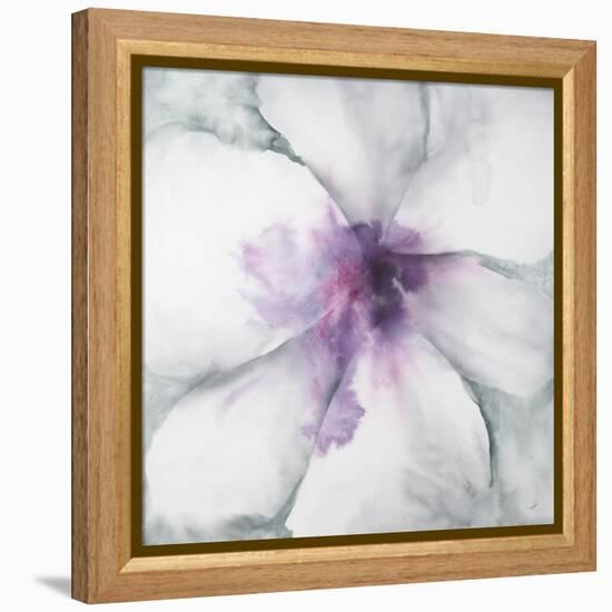 Medallion Orchid-Jason Jarava-Framed Premier Image Canvas