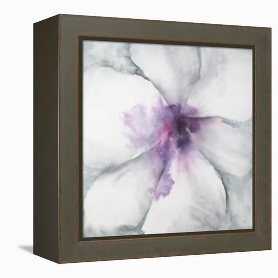 Medallion Orchid-Jason Jarava-Framed Premier Image Canvas