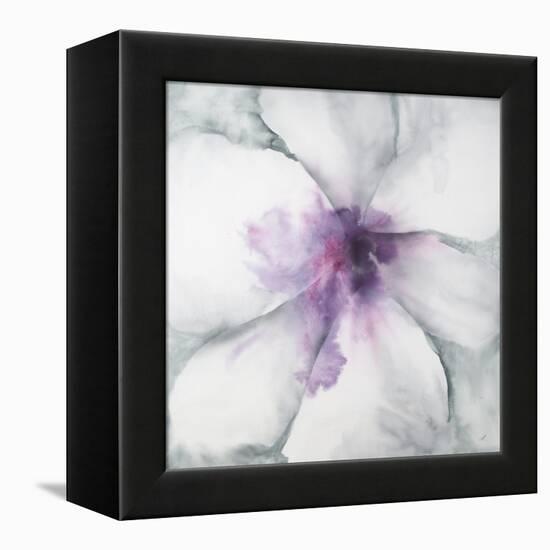 Medallion Orchid-Jason Jarava-Framed Premier Image Canvas