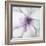 Medallion Orchid-Jason Jarava-Framed Giclee Print