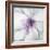 Medallion Orchid-Jason Jarava-Framed Giclee Print