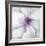 Medallion Orchid-Jason Jarava-Framed Giclee Print