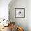 Medallion Orchid-Jason Jarava-Framed Giclee Print displayed on a wall