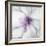 Medallion Orchid-Jason Jarava-Framed Giclee Print