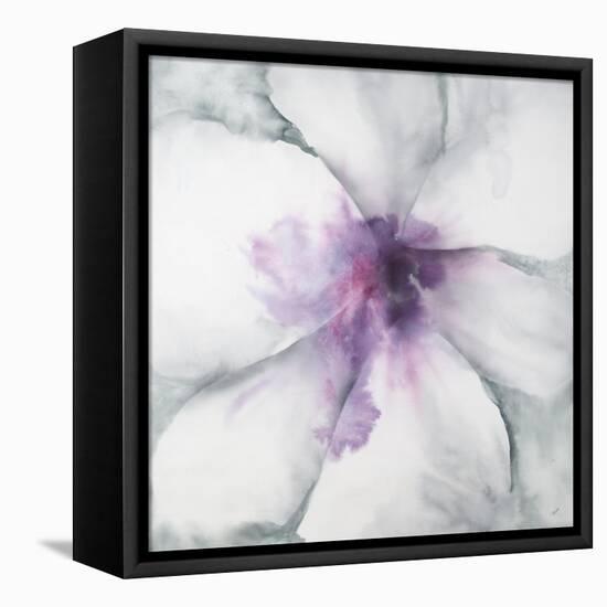 Medallion Orchid-Jason Jarava-Framed Premier Image Canvas