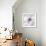 Medallion Orchid-Jason Jarava-Framed Giclee Print displayed on a wall