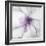 Medallion Orchid-Jason Jarava-Framed Giclee Print