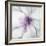 Medallion Orchid-Jason Jarava-Framed Giclee Print