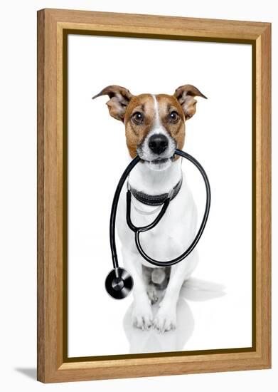 Medical Doctor Dog-Javier Brosch-Framed Premier Image Canvas