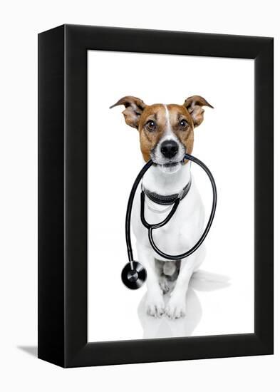 Medical Doctor Dog-Javier Brosch-Framed Premier Image Canvas