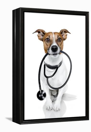 Medical Doctor Dog-Javier Brosch-Framed Premier Image Canvas