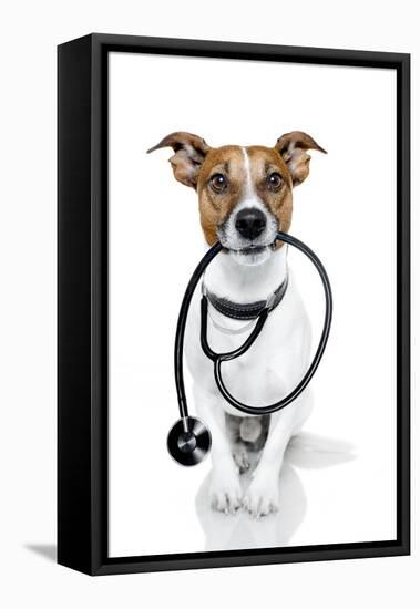 Medical Doctor Dog-Javier Brosch-Framed Premier Image Canvas