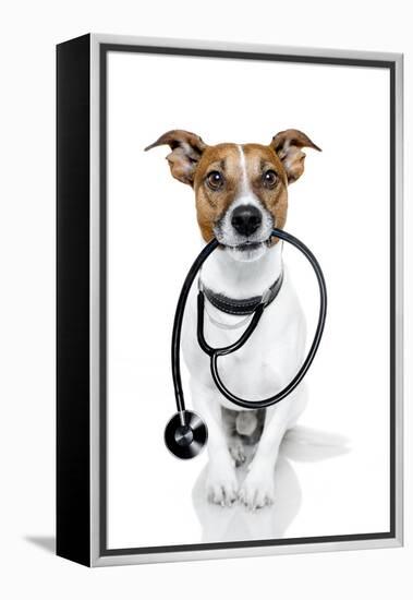 Medical Doctor Dog-Javier Brosch-Framed Premier Image Canvas