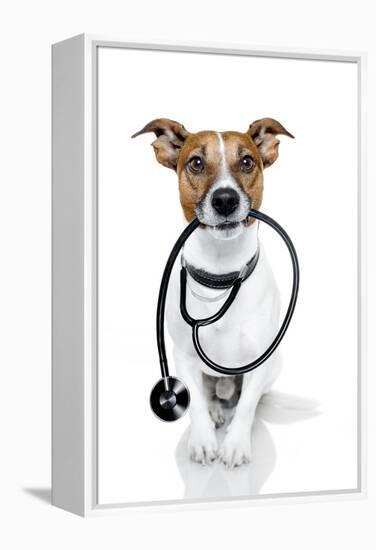 Medical Doctor Dog-Javier Brosch-Framed Premier Image Canvas