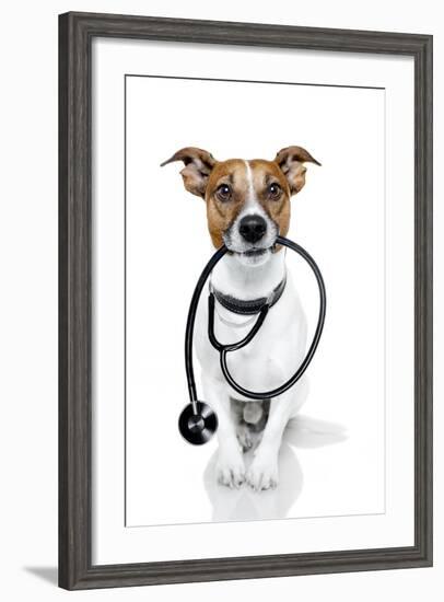 Medical Doctor Dog-Javier Brosch-Framed Photographic Print