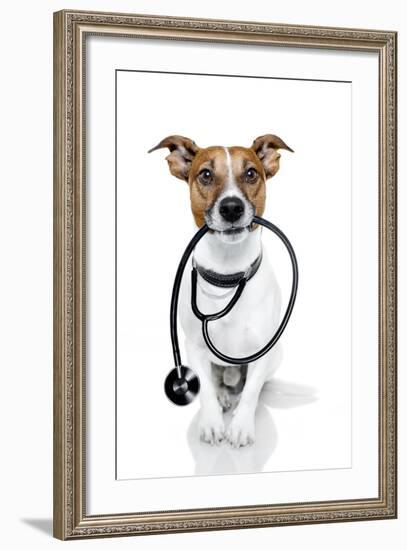 Medical Doctor Dog-Javier Brosch-Framed Photographic Print